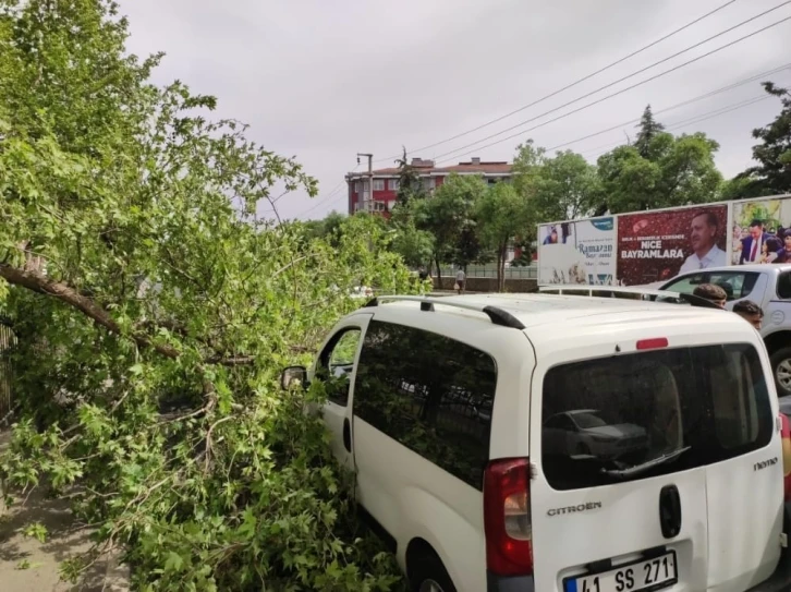 Diyarbakır’da seyir halindeki ticari aracın üstüne ağaç devrildi
