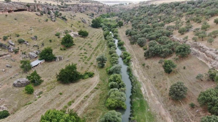 Diyarbakır’da sıcaktan bunalan vatandaşlar sulak ve serin yerleri tercih ediyor