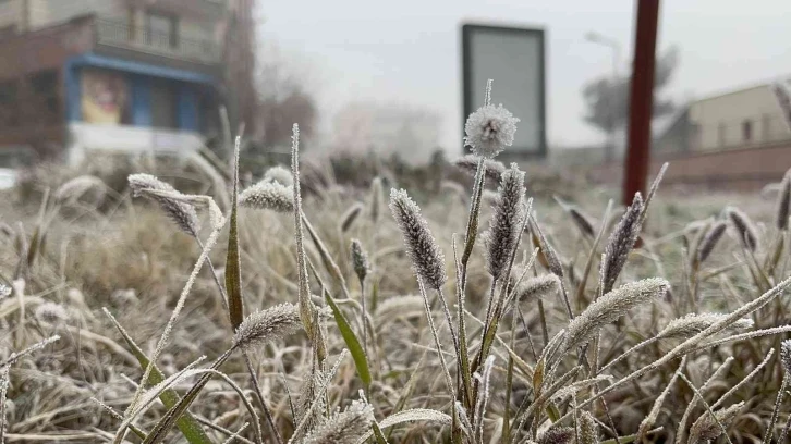 Diyarbakır’da uçak seferlerine ’sis’ engeli
