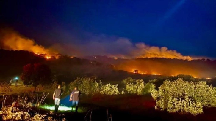 Diyarbakır'da 3 ayrı noktada orman yangını