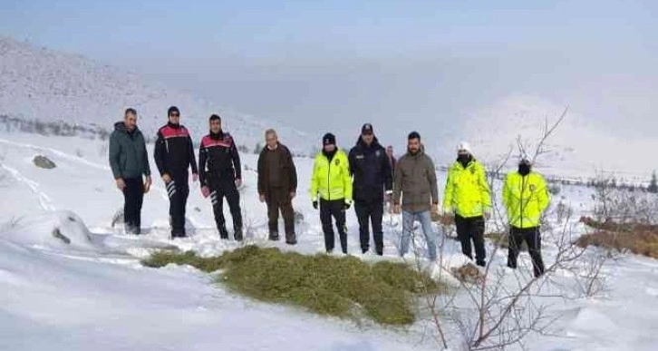 DKMP ve polis ekipleri, yaban hayvanlarını unutmadı