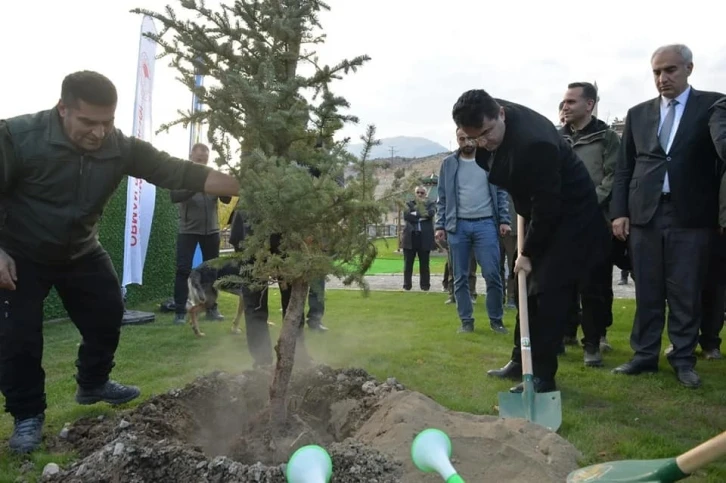 Doğa harikası Tortum Şelalesi’nin çehresi yeni dikilen fidanlarla değişecek
