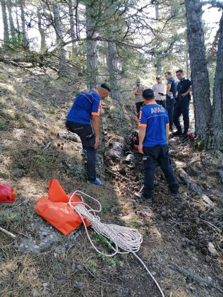 Doğa yürüyüşü yapmak için gittiği ormanda hayatını kaybetti
