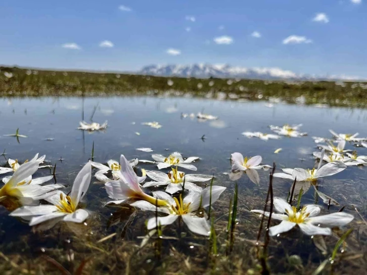 Doğu’da hava soğuyacak
