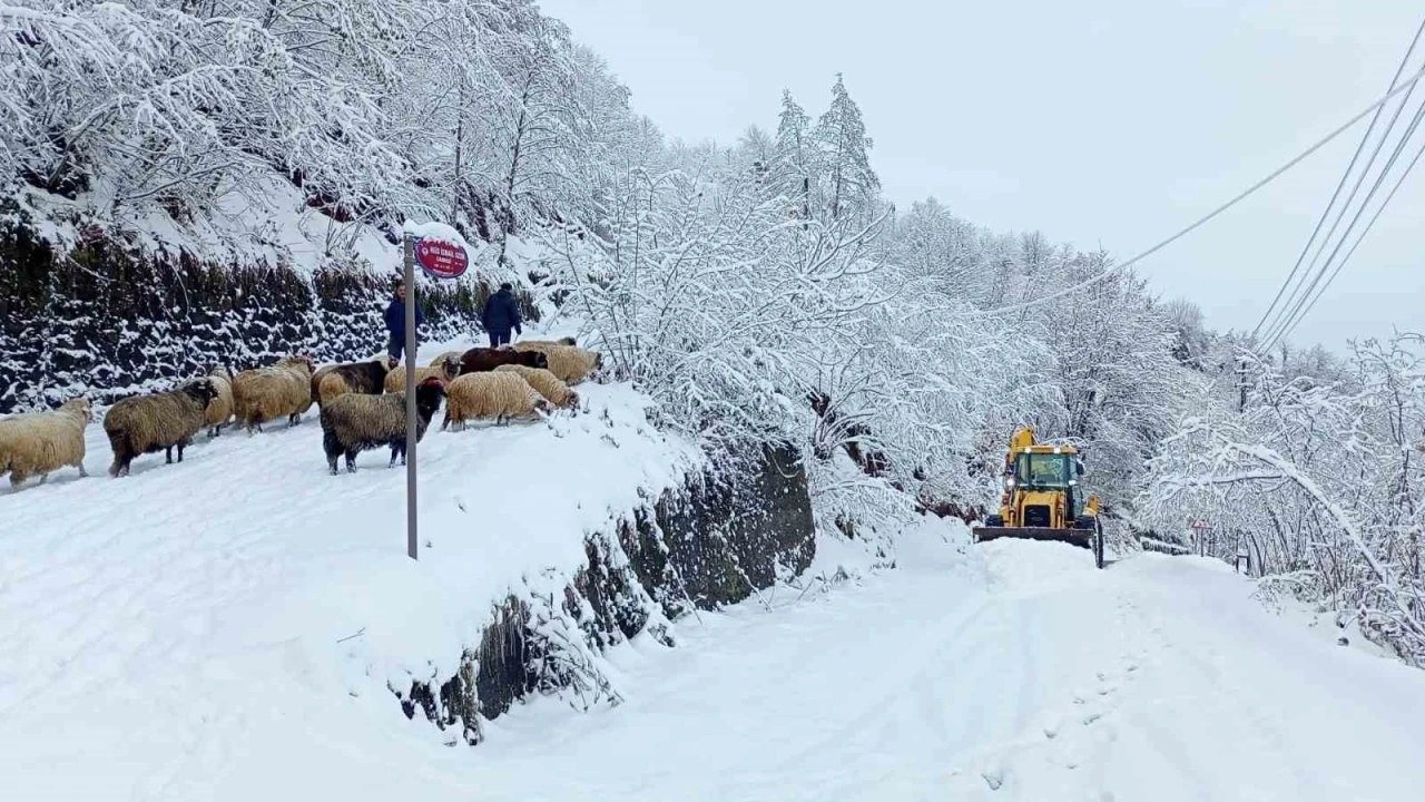 Doğu Karadeniz’de kış
