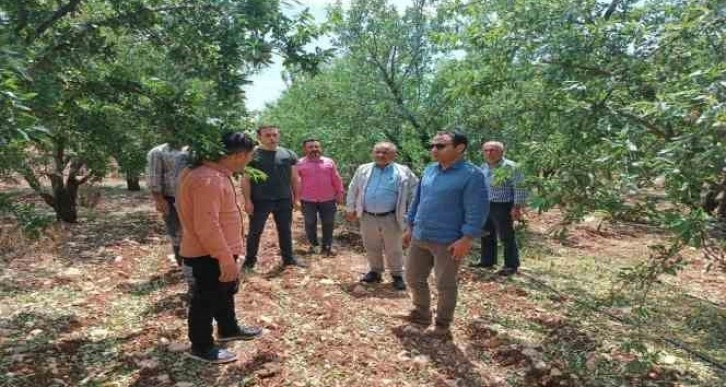 Dolunun zarar verdiği tarım alanları incelendi