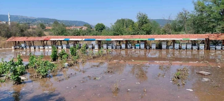 Domaniç’te 80 arı kovanı sular altında kaldı
