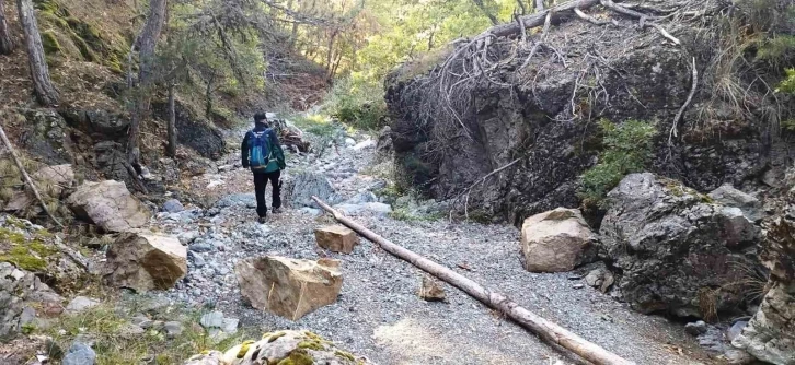 Domaniç’te kaybolan yaşlı adam için arama çalışması
