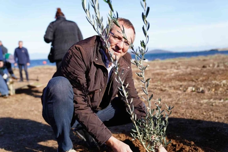 Dünya Zeytin Ağacı Günü’nde zeytin diktiler
