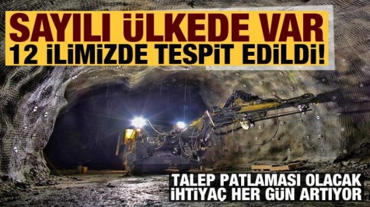 Dünyada sayılı ülkede var, 12 ilimiz de tespit edildi: Talep patlaması olacak!