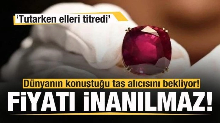 Dünyanın konuştuğu taş alıcısını bekliyor! Fiyatı inanılmaz...