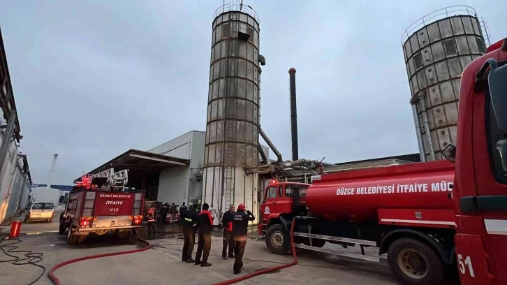 Düzce’de fabrika yangını korkuttu
