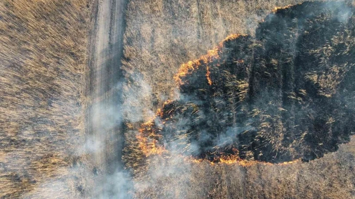 Eber Gölü’nün 3 bölgesinde yangın çıktı
