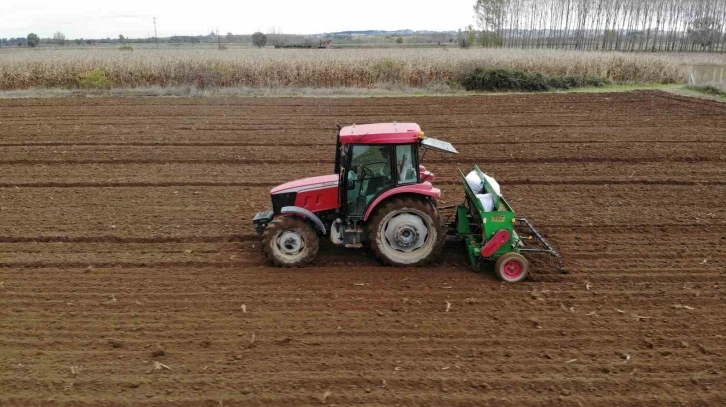 Edirne’de buğday ve arpa ekim sezonu sona erdi
