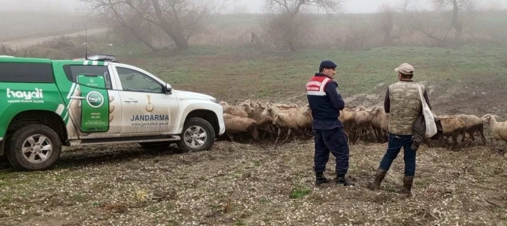 Edirne’de çobanlara hayvanların hastalıktan korunması için bilgilendirme yapıldı
