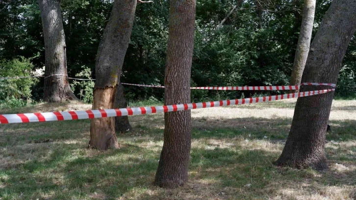 Edirne’de ormanlara giriş 3 ay yasaklandı
