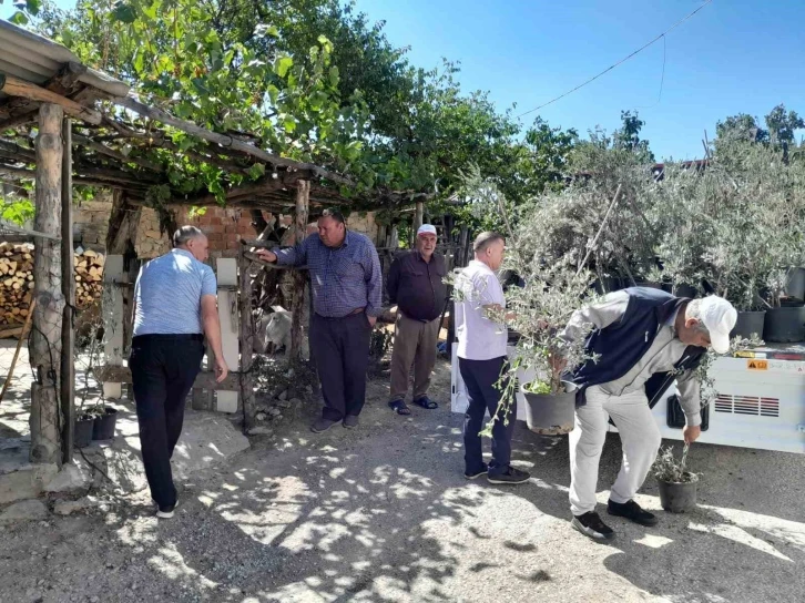 Edremit’ten, Çanakkale yangınında etkilenen köylere 250 zeytin fidanı gönderildi
