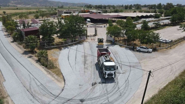 Efeler’de Kurban Bayramı hazırlıkları erken başladı
