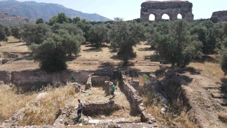 Efeler’den Tralleis Antik Kenti’nde kuru ot temizliği
