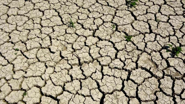 Ege, son 20 yılın en kurak sezonunu yaşıyor
