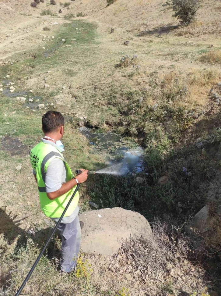 Elazığ’da  ilaçlama çalışmaları sürüyor
