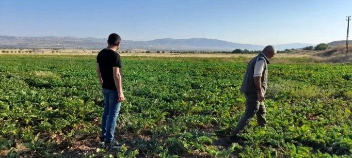 Elazığ’da kaçak avcılığın önlenmesi için denetimler sürüyor
