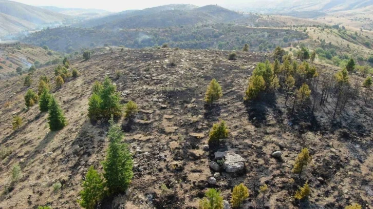 Elazığ’da orman yangını kontrol altına alındı, yüzlerce dönümlük alan kül oldu
