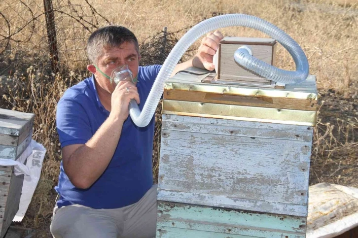 Elazığlı arıcı geliştirdi, KOAH ve astım hastalarına umut olacak
