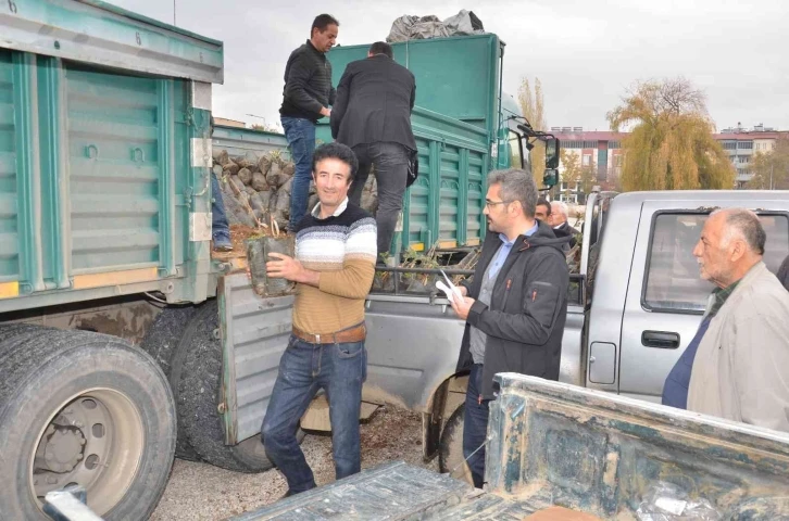 Elbistan’da üreticilere hibe destekli alıç fidanı dağıtıldı
