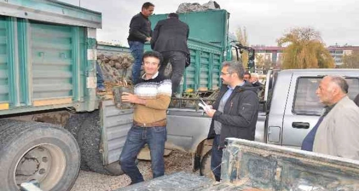 Elbistan’da üreticilere hibe destekli alıç fidanı dağıtıldı