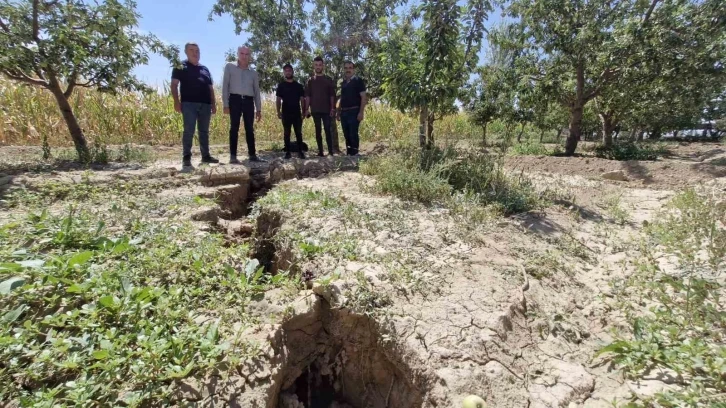 Elma bahçesinde oluşan 100 metrelik yarık korkuttu
