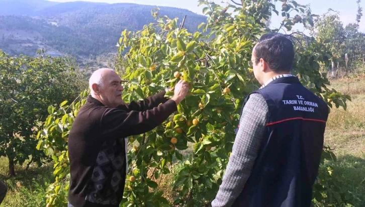 Emet’te çiftçilere meyve ağaçlarında bitki sağlığı ile ilgili mücadele yöntemleri anlatıldı
