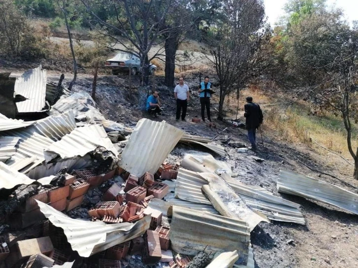 Emet’te orman yangını sonrası ürünlerde zarar tespit çalışması
