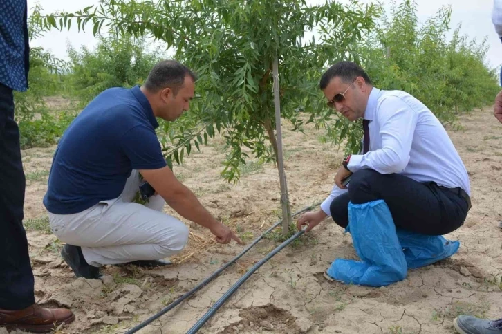 Emirdağ kent ve ülke tarımına katkı sunmaya devam ediyor
