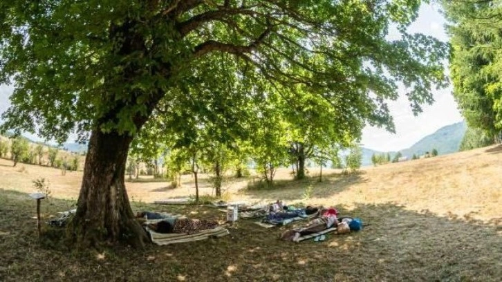 En çok yatan kazanıyor: En tembel kişi aranıyor