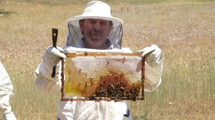 Endemik bitkili zengin florada üretilen yayla balı sağıldı
