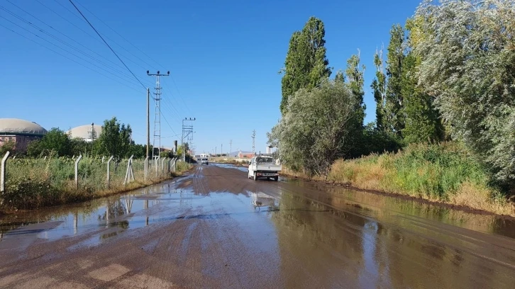 Enerji tesisinin gübre silosu patladı, tarlaları gübre bastı
