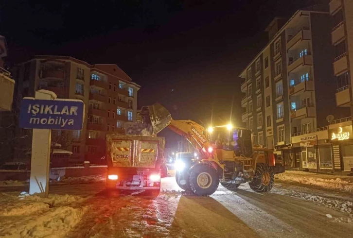 Erciş’te kar yığınları kamyonlarla taşınıyor
