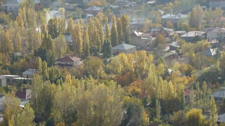 Erciş’te sonbahar güzelliği
