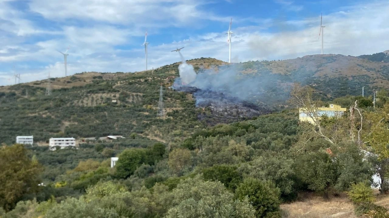 Erdek'te orman yangını 2 saatte söndürüldü, adalara elektrik verilemiyor!