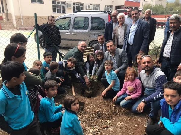 Erdemli’de okul bahçeleri fidanla donatılacak