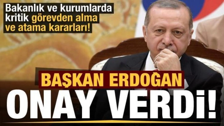 Erdoğan imzaladı: Bakanlık ve kurumlarda kritik görevden alma ve atama kararları!