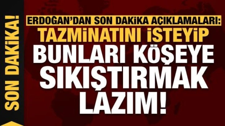 Erdoğan ve Aliyev'den açıklamalar: Tazminatını isteyip, bunları köşeye sıkıştırmak lazım!