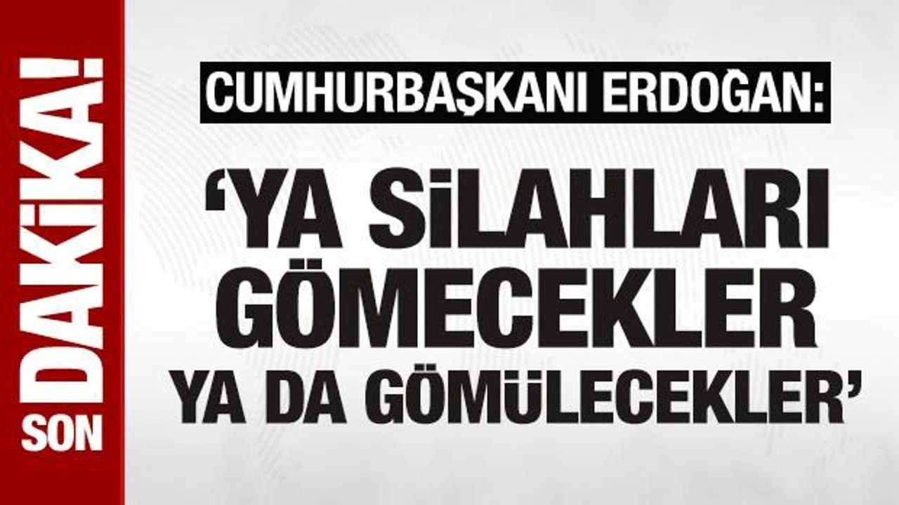 Erdoğan: 'Ya o silahlar gömülecek ya da Türkiye'ye silah doğrultanlar gömülecek!'