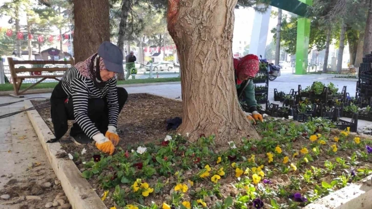 Ereğli Belediyesi çevre düzenleme çalışmalarını sürdürüyor
