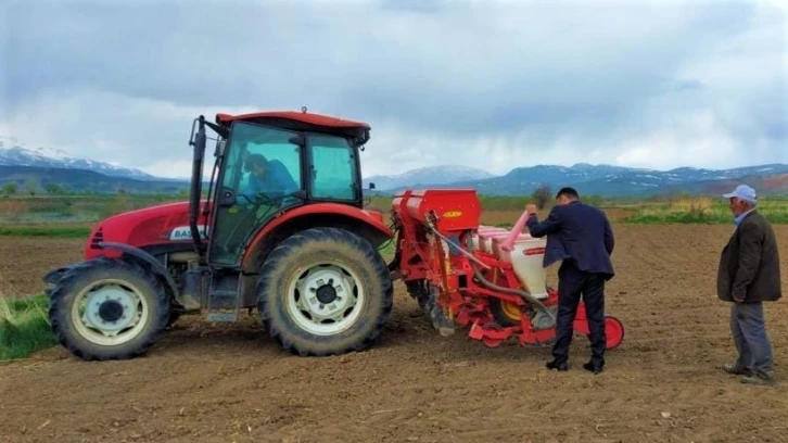 Erzincan’da ayçiçeği tohumları toprakla buluştu
