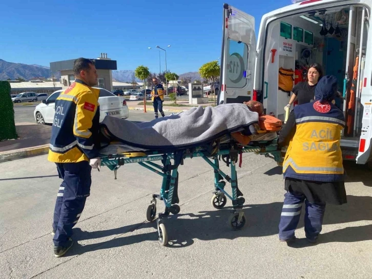 Erzincan’da ayı saldırısı
