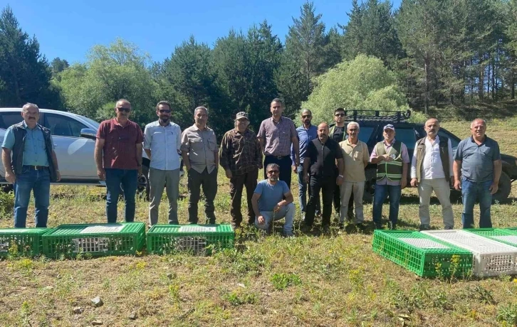 Erzincan’da bin adet kınalı keklik doğaya salındı
