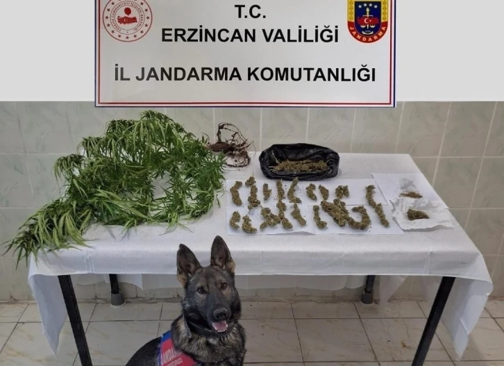 Erzincan’da jandarma ekipleri suça geçit vermiyor
