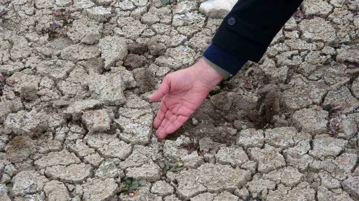 Erzincan kuraklık tehlikesi altında
